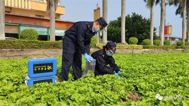 情系同胞 携手抗疫 ---GZCC获证企业东升农场超九吨蔬菜助力香港抗疫